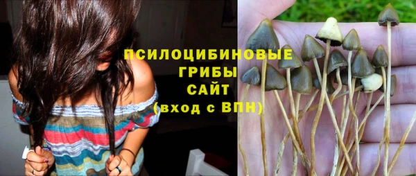 jwh Аркадак
