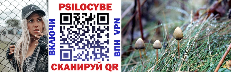 Псилоцибиновые грибы Magic Shrooms  blacksprut как зайти  Нефтекумск 